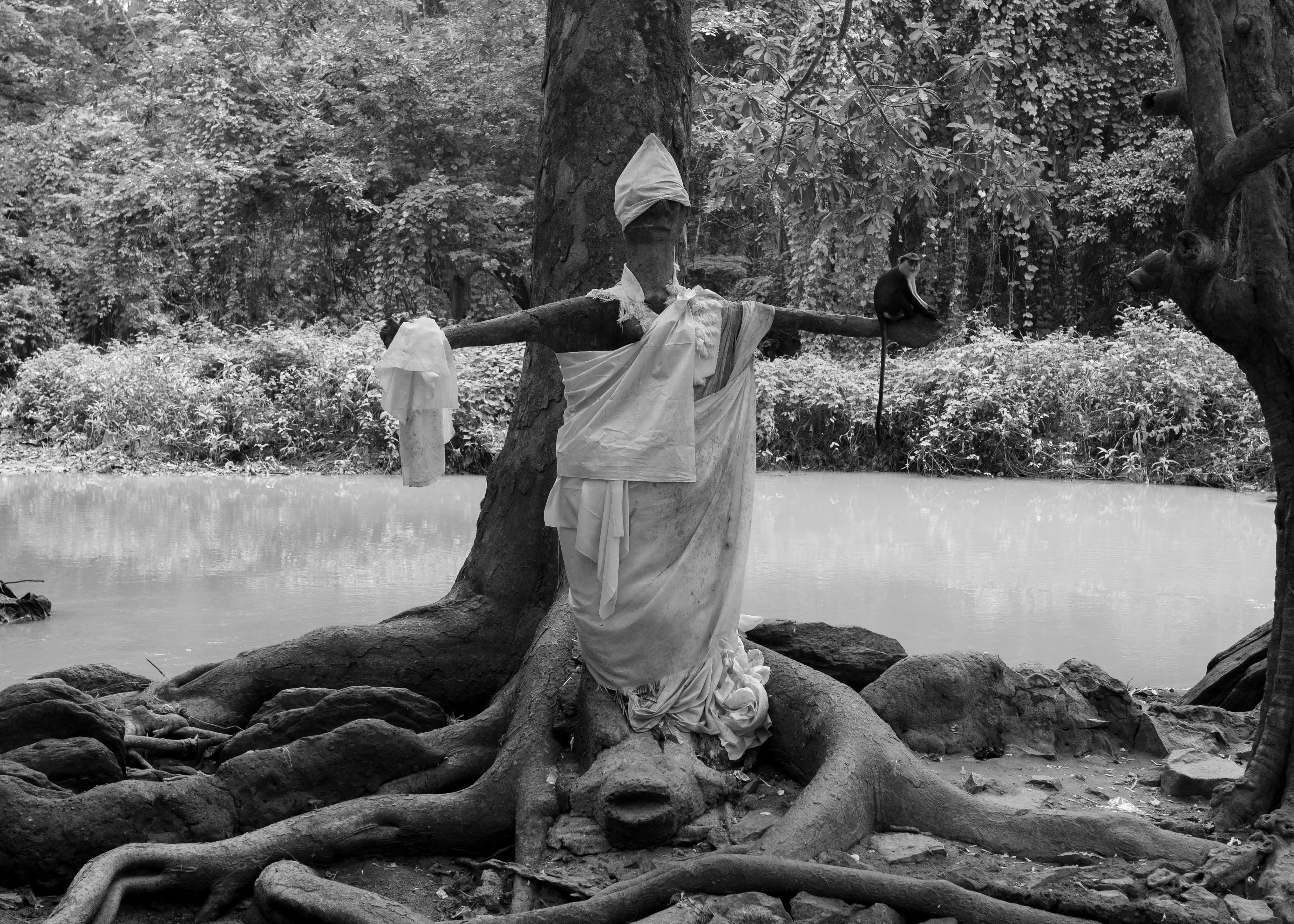 Osun Grove